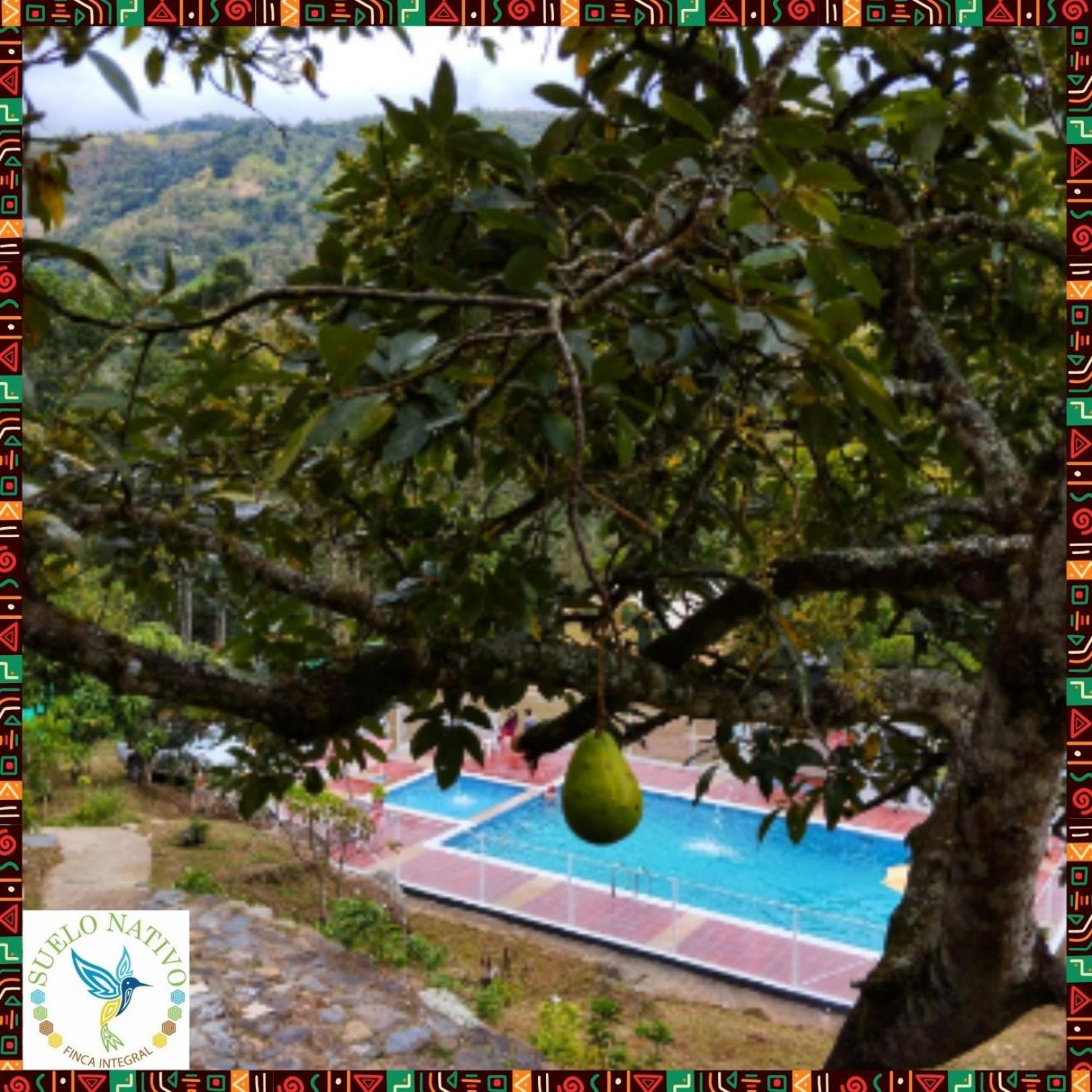 Hotel Finca Integral Suelo Natiivo "Integramos El Campo Con Tu Bienestar" Гуадуас Екстериор снимка
