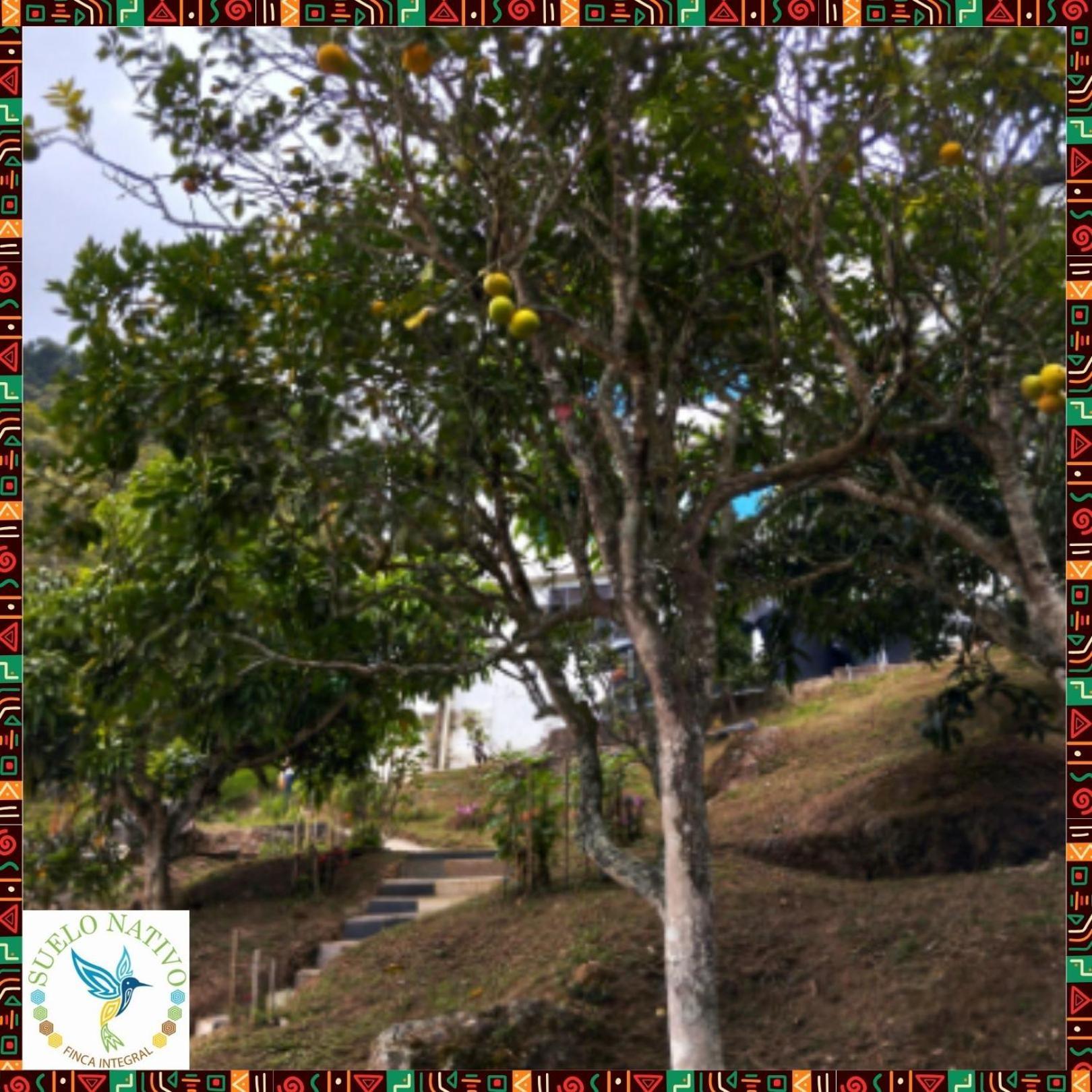 Hotel Finca Integral Suelo Natiivo "Integramos El Campo Con Tu Bienestar" Гуадуас Екстериор снимка